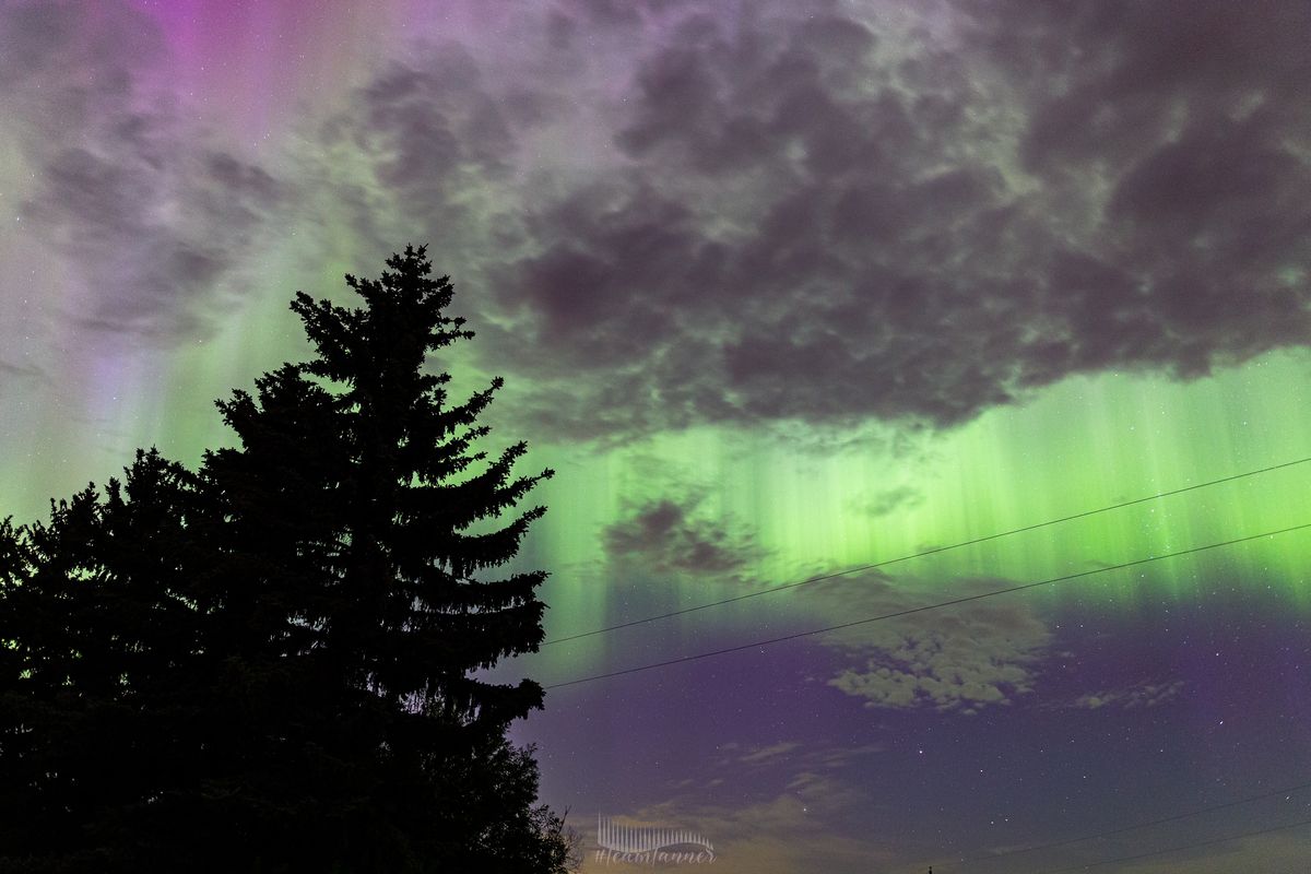 northern lights appearing as huge curtains of green light rippling along the sky.
