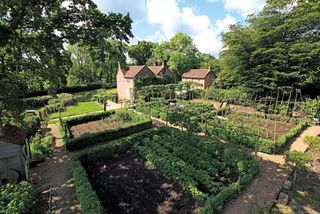 Walnuts Farm