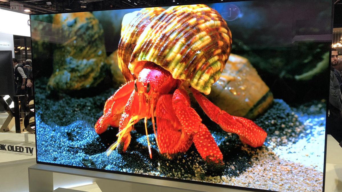 LG reveals first prices for 2019 OLED TV ranges