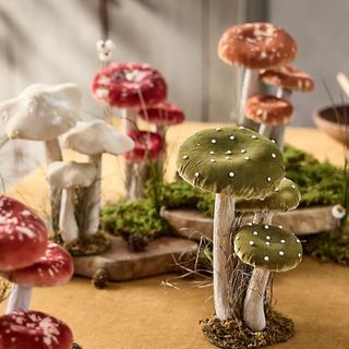 Velvet mushroom set