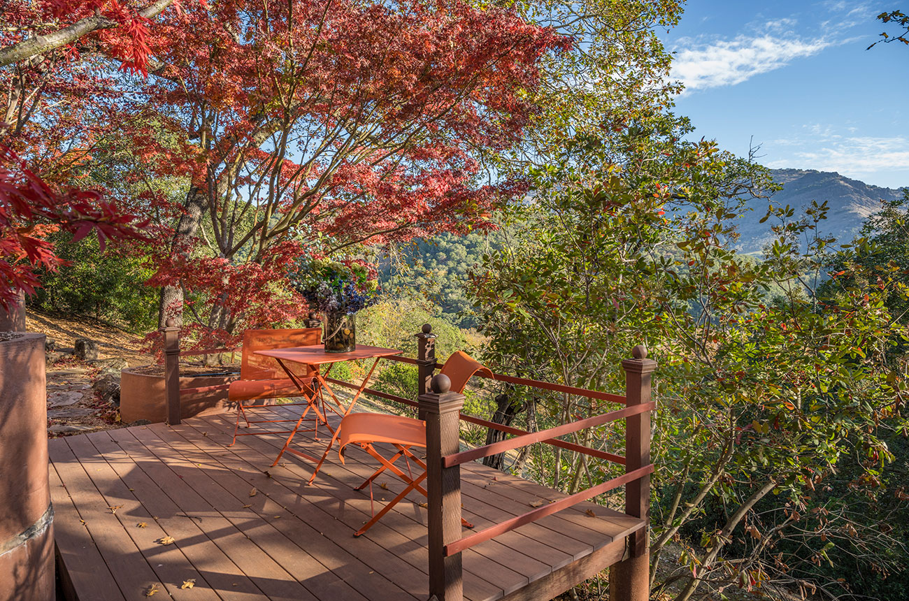 Napa Valley wine country home for sale