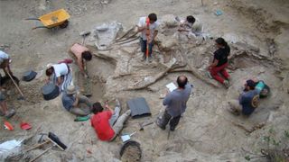 A group of researchers surround the fossils
