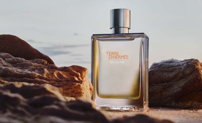 Terre D 'Hermès Eau Givrée