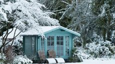 Garden shed and trees in the snow