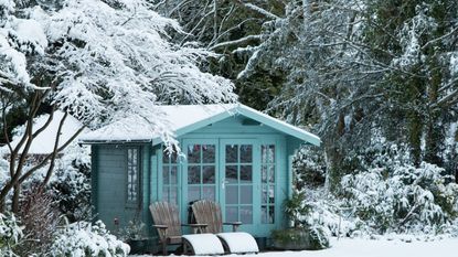 Garden shed and trees in the snow
