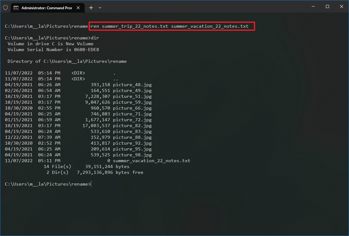 Command Prompt rename single file