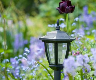 A close-up of a solar light in a flowerbed