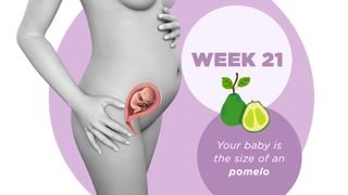 Pregnancy week by week 21
