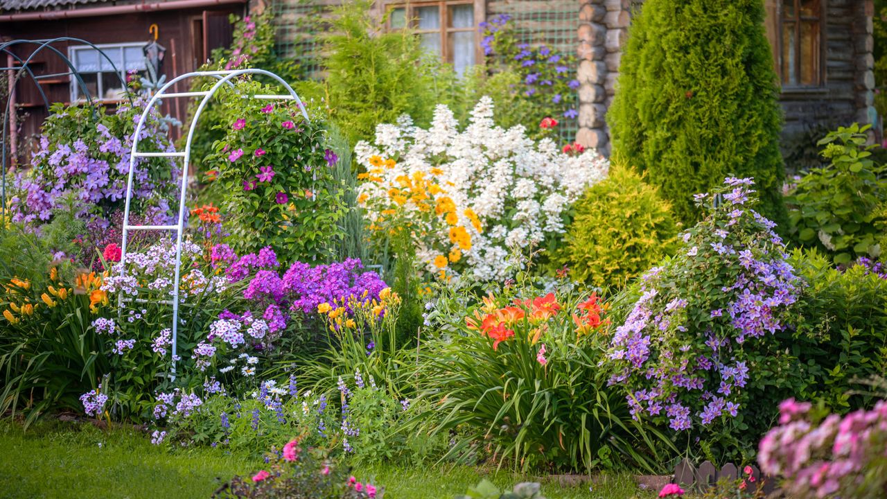 cottage garden filled with summer perennials and annuals