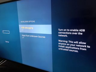 ADB access and Unknown Sources on Amazon Fire TV. You'll want to leave these off unless you know what you're doing. (And if you know what you're doing you'll leave these off most of the time anyway.)