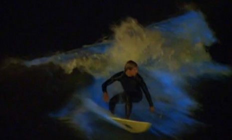 A night surfer is seen against glow-in-the-dark waves caused by phytoplankton in San Diego&amp;#039;s surf.