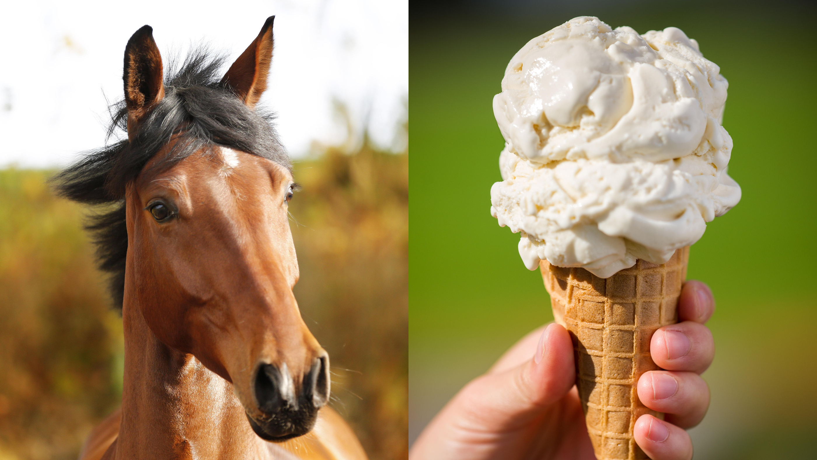Becky-Horse-Icecream.jpg