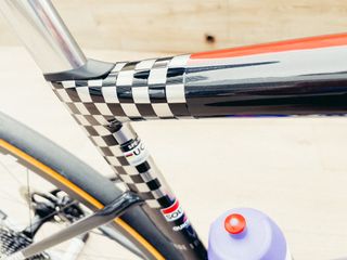 Remco Evenepoel's 2024 bike