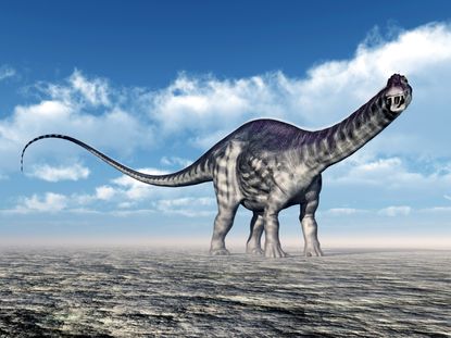 A rendering of an Apatosaurus