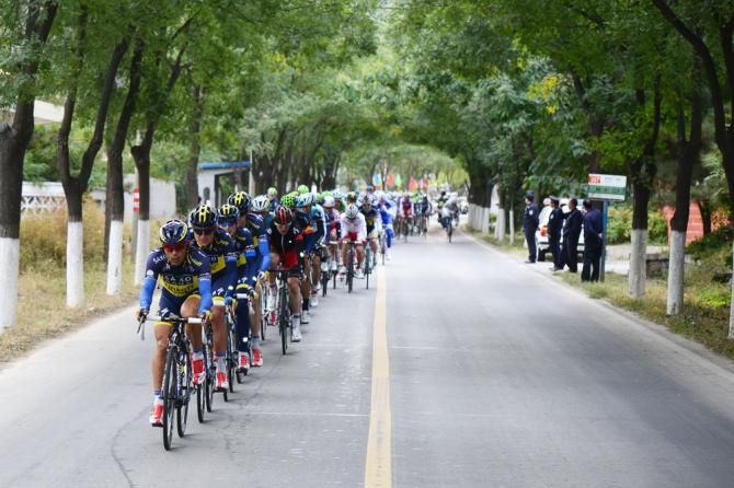 Team Saxo-Tinkoff controls the peloton