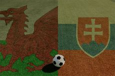 euro 2016 and wine, jane anson