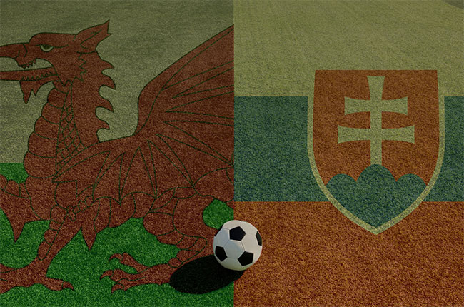 euro 2016 and wine, jane anson