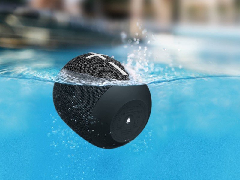 black wonderboom 2 in water