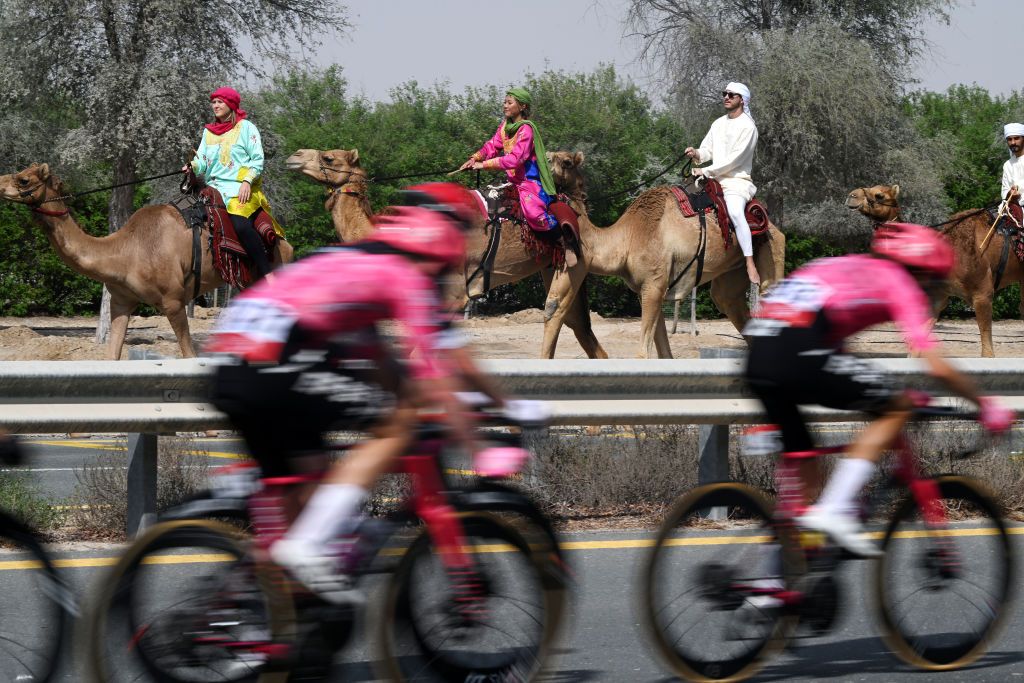 DUBAI UNITED ARAB EMIRATES FEBRUARY 21 Peloton riders compete alongside a group of camels during the 7th UAE Tour 2025 Stage 5 a 160km stage from American University Dubai to American University Dubai UCIWWT on February 21 2025 in Dubai United Arab Emirates Photo by Dario BelingheriGetty Images