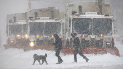 People walk their dogs as winter storm slams New York and much of the rest of the U.S.
