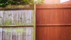 Two fence panels, one covered in algae, the other with algae removed and painted