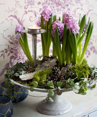 Hyacinth in a flower arrangement pink indoor arrangement