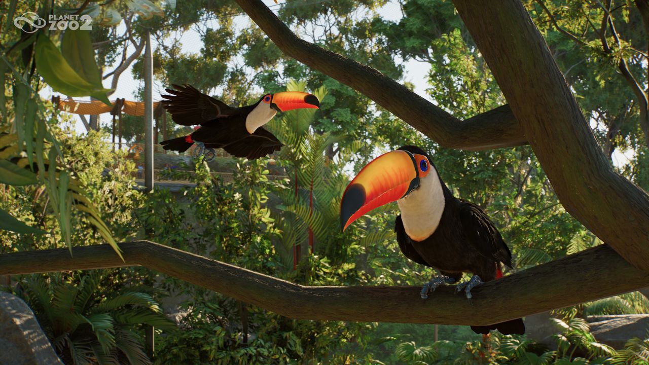 Planet Zoo 2 is adding aquariums and aviaries, and it's coming this year