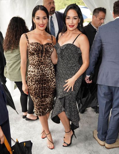 Brie and Nikki Bella