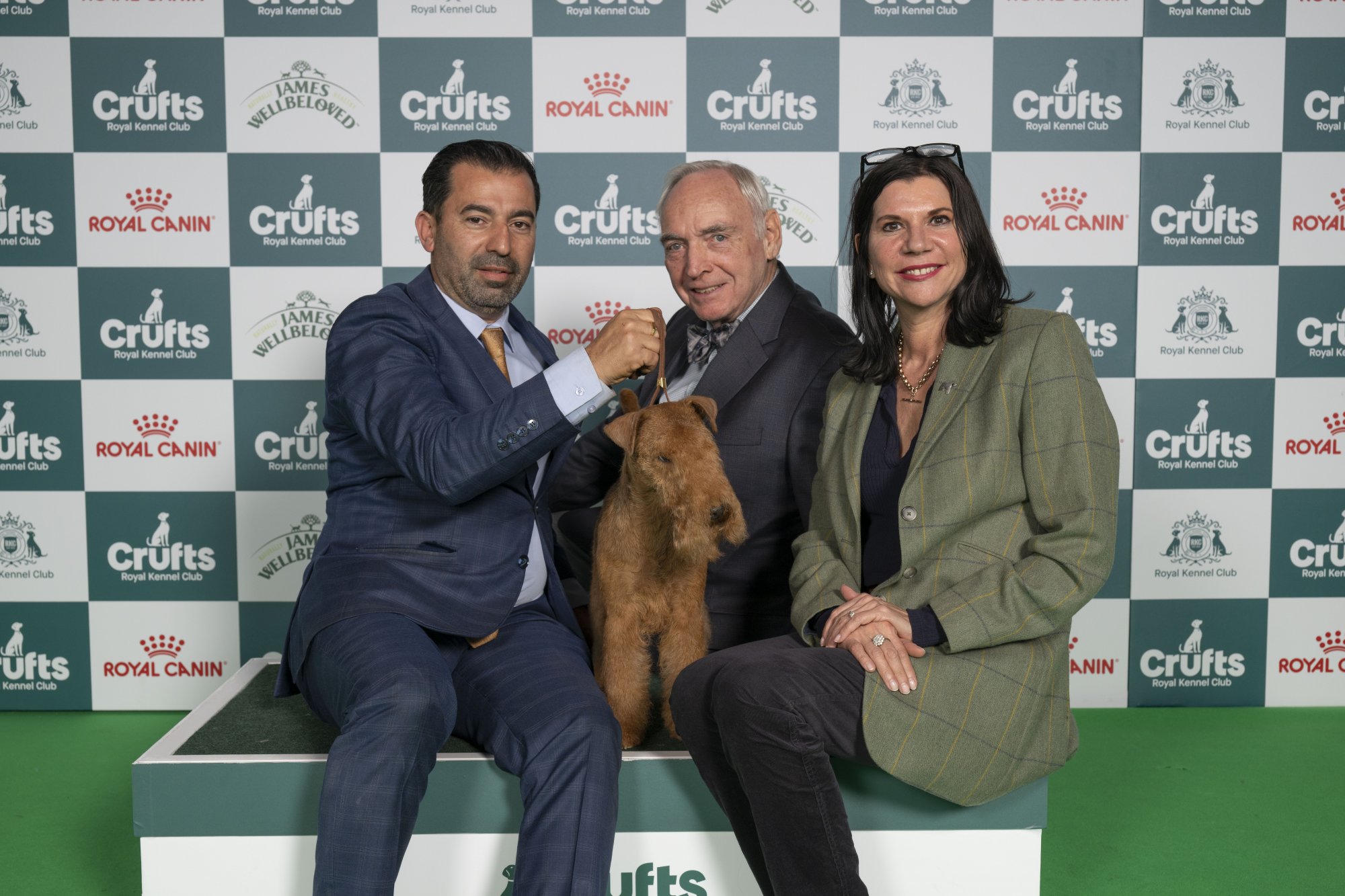 Freddie the Lakeland