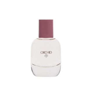Zara Orchid perfume