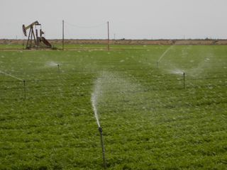 Agricultural fields are irrigated next to an oil well in Kern County, California.