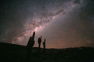 Large cacti appear to point at the sky in the Chilean Atacama Desert. The Milky Way dominates the image, with the Large Magellanic Cloud in the lower right. These cacti (Echinopsis atacamensis) grow on average 0.4 inches (1 centimeter) per year, and reach