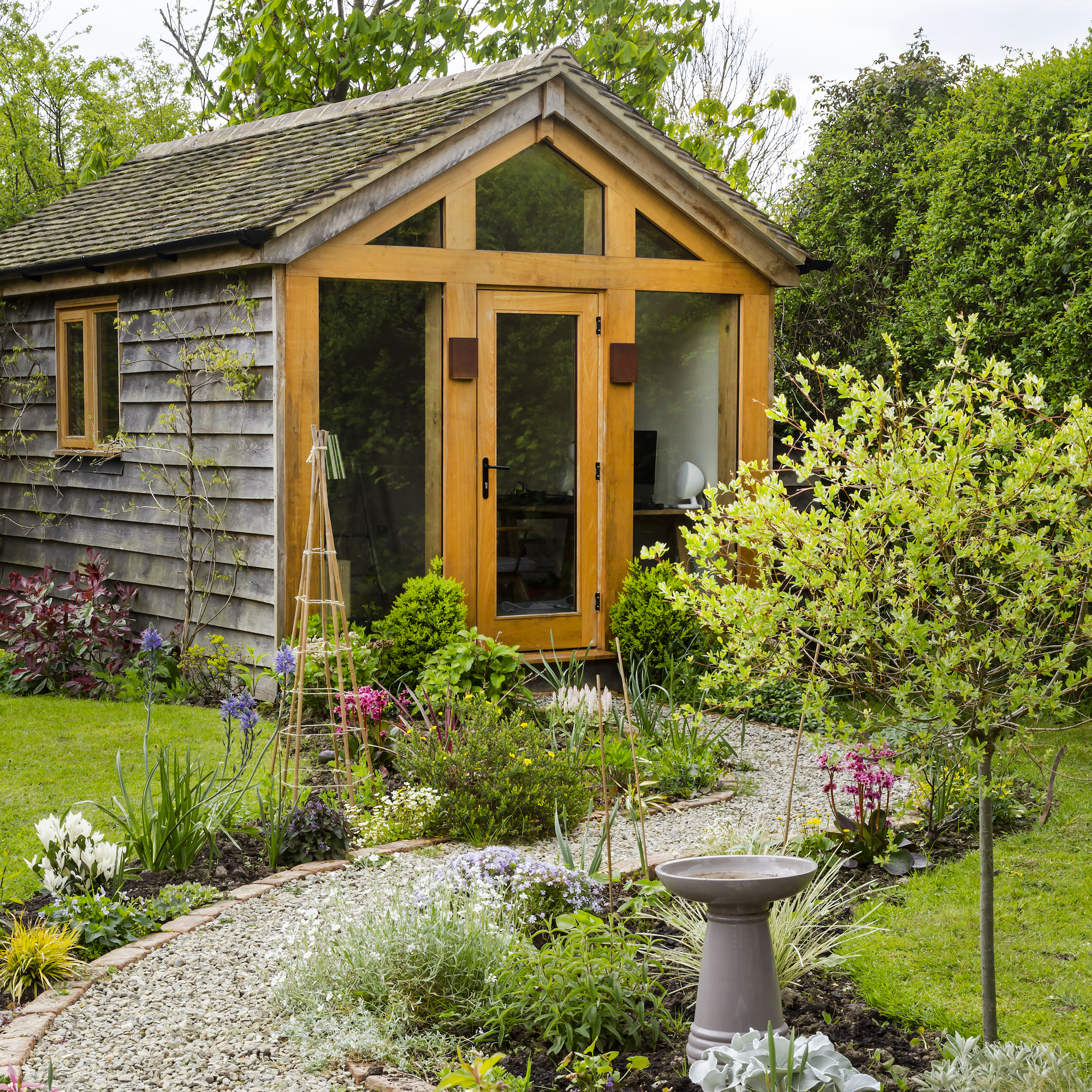 garden gym home office with glazed wall and doors and wooden cladding