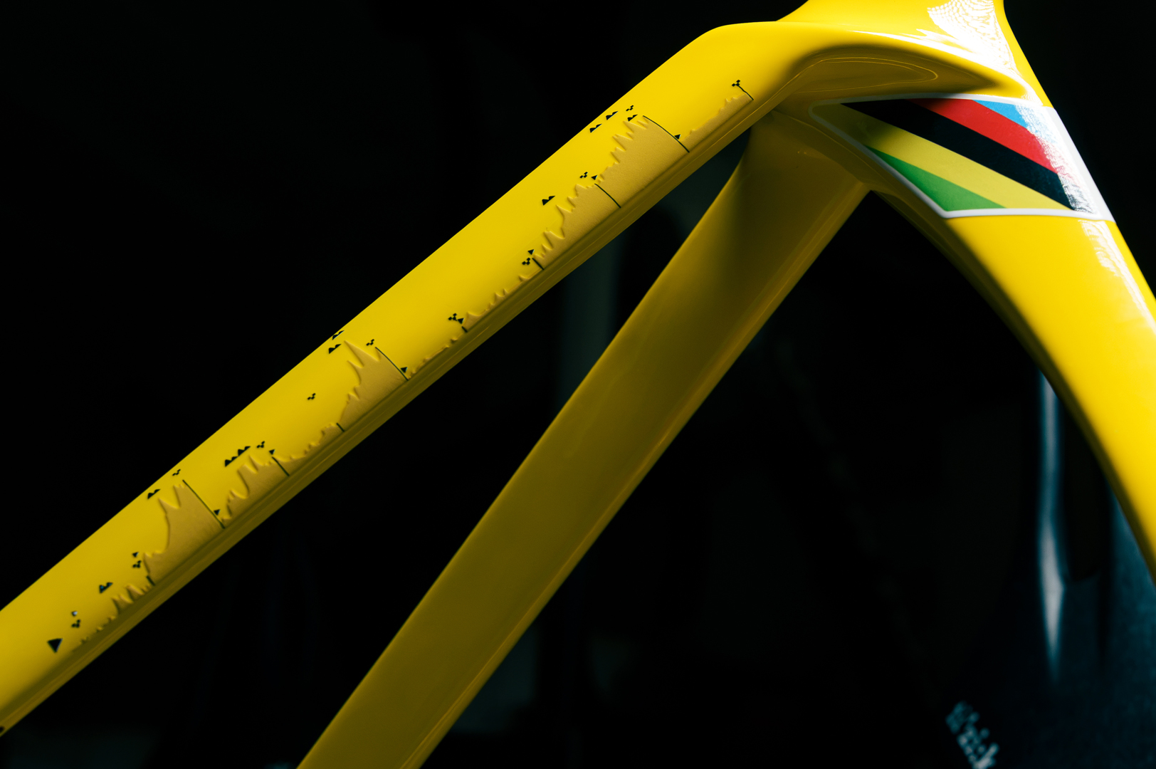 Tadej Poga&amp;#269;ar one-of-one Colnago Y1Rs
