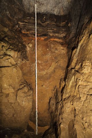 Denisova Cave discoveries