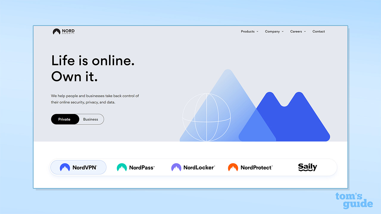 Screenshot of Nord Security website landing page listing its Nord product family
