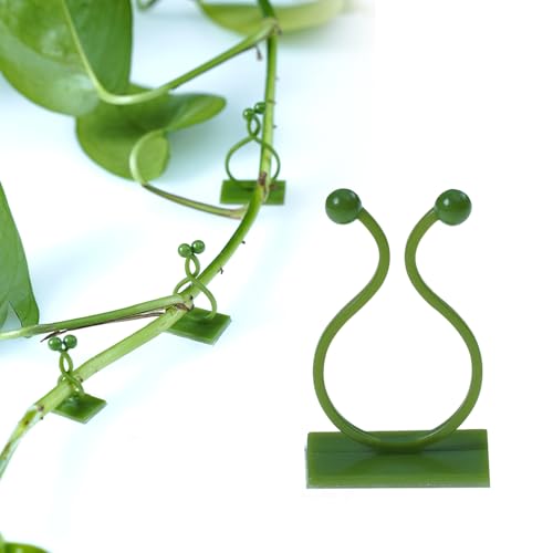 100pcs Plant Clips for Climbing Plants,plant Climbing Fixture Clips, Self Adhesive Invisible Wall Vines Climbing Plant Support Clips Garden Plant Wall Fixture Clips for Climbing Plants
