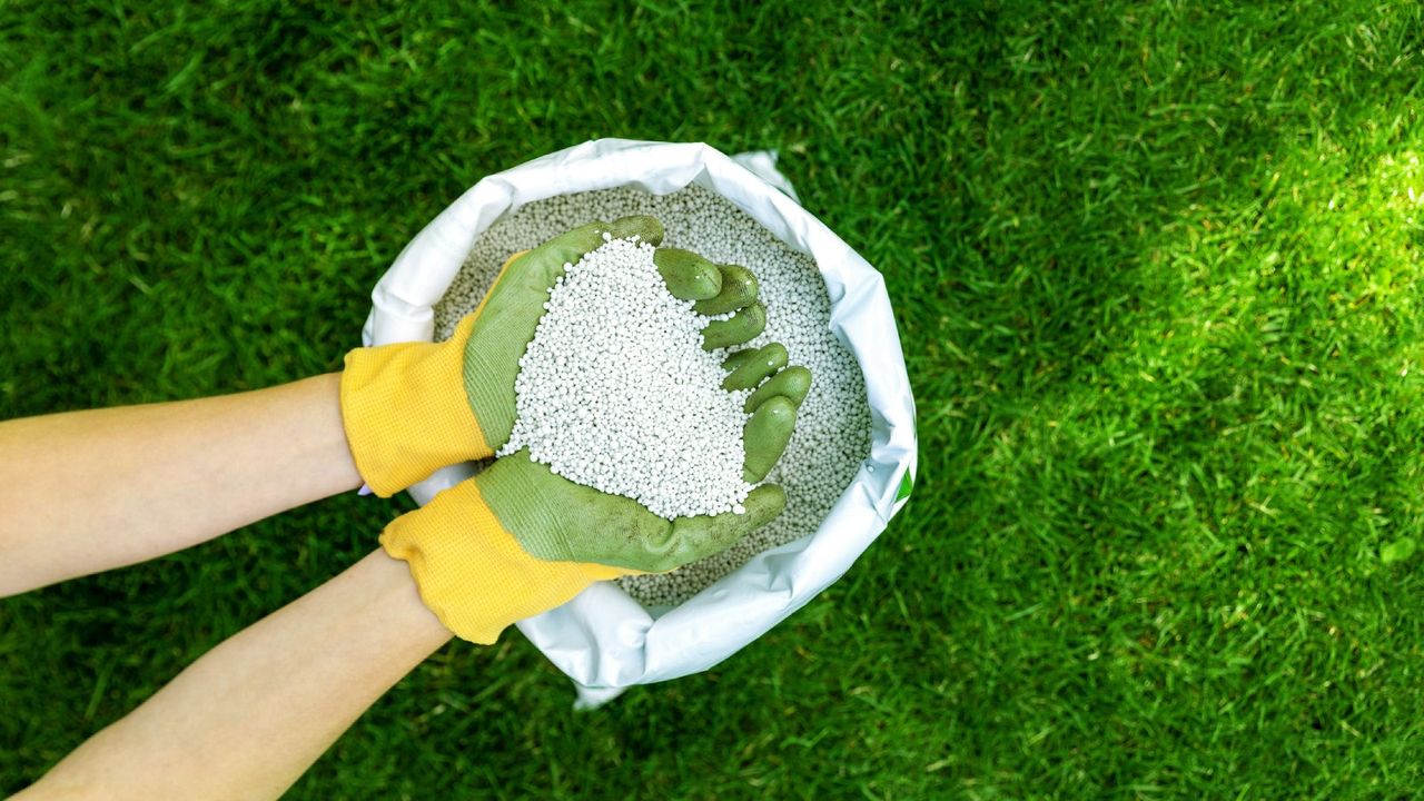 Hands in green and yellow gloves hold granular fertilizer over a bag