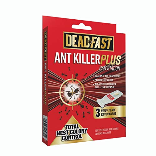Deadfast 20300502 Ant Killer Plus Bait Station 3 X 4g, Natural : Amazon.co.uk: Garden