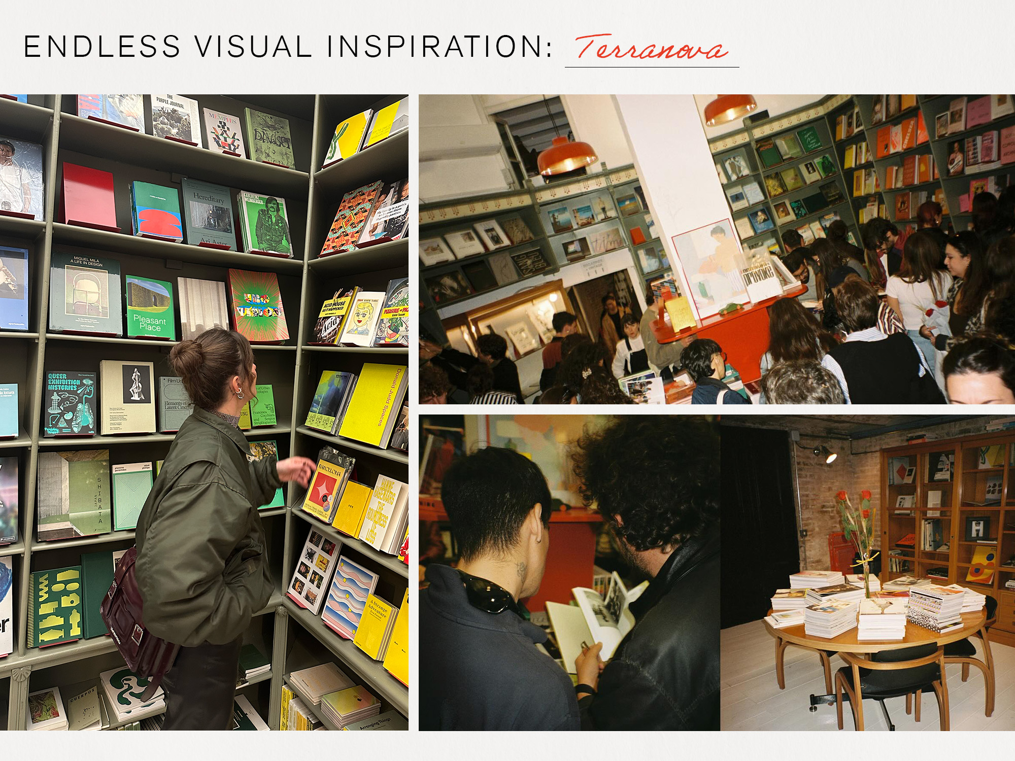 photos of terranova bookstore