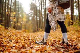 A person enjoying an autumnal hike.