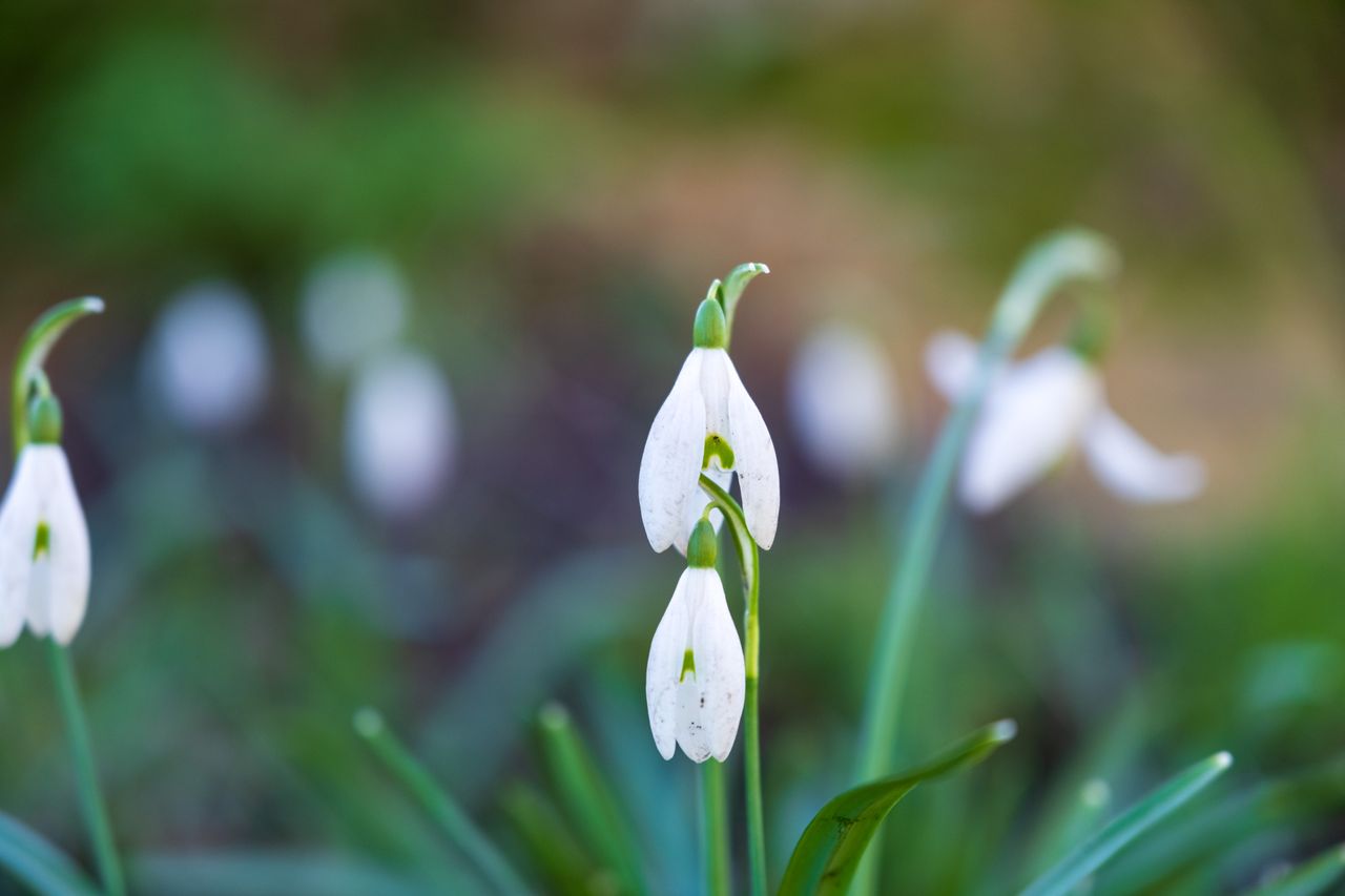 Sample image taken with a Fujifilm XF 16-55mm f/2.8 R LM WR II lens and Fujifilm X-T5 camera