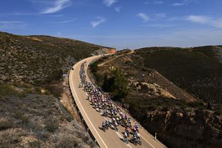 The Vuelta peloton during stage 12