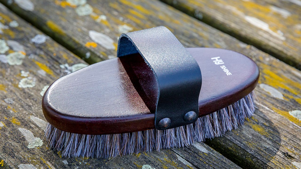HyShine Deluxe horse hair wooden body brush review