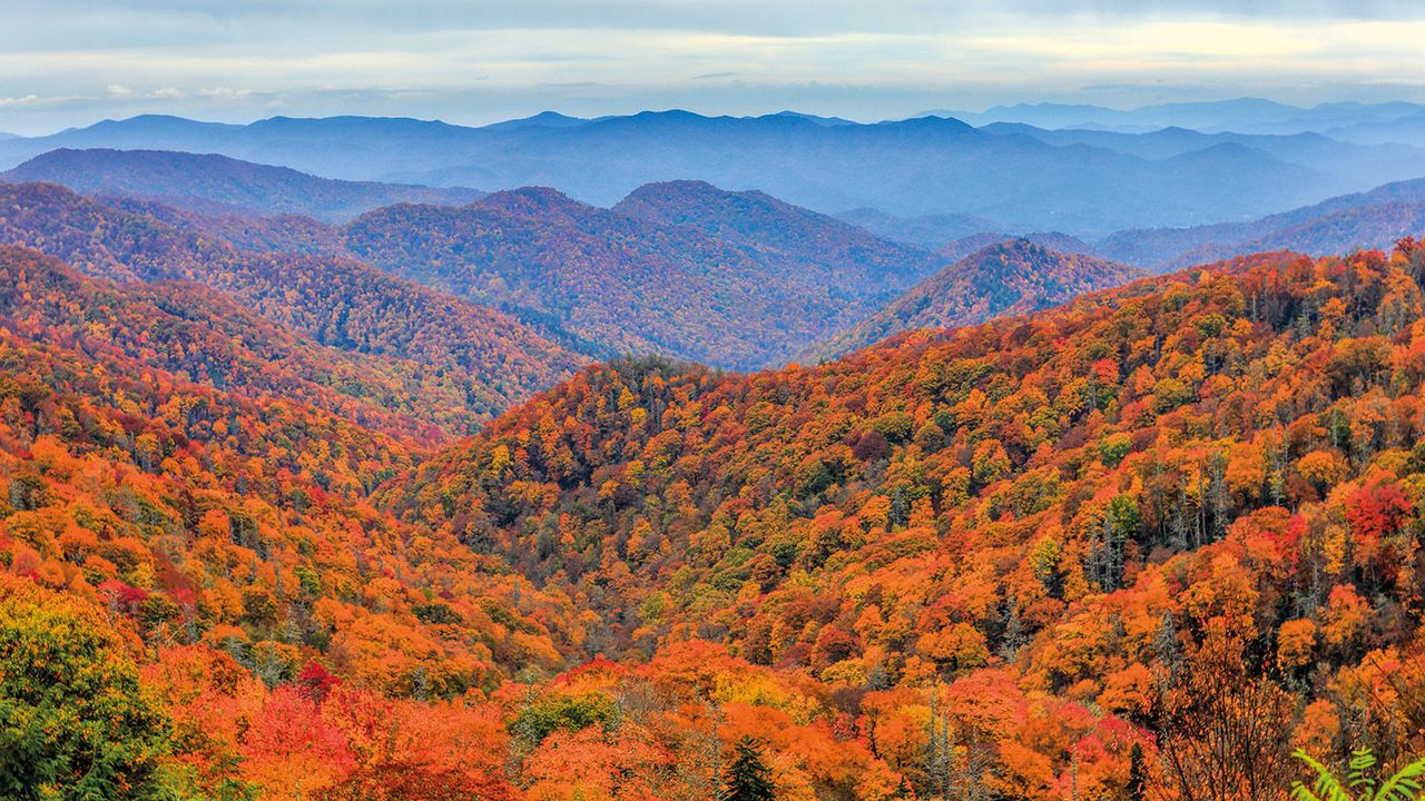 Great Smoky Mountains