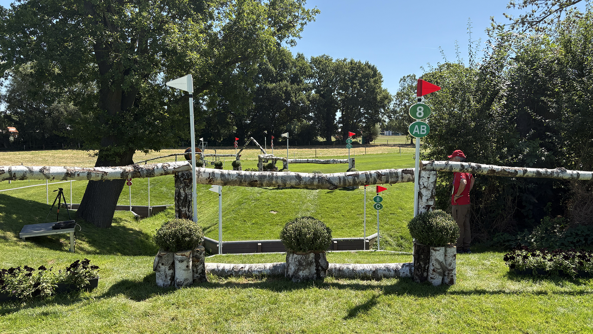 A silver birch rail into a hollow on the Aachen eventing World Championships cross-country course