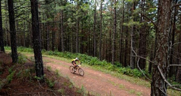 Jacques Janse van rensburg rides through the forests
