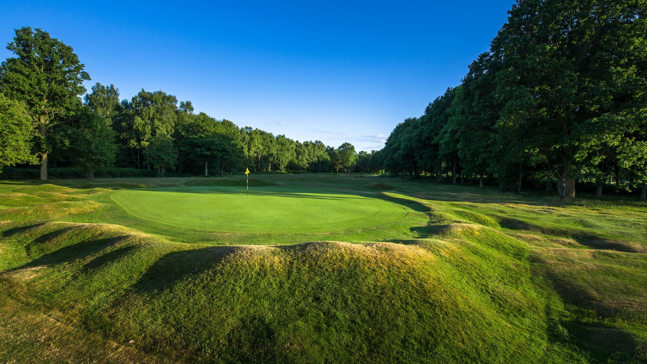 Berkhamsted - Hole 15