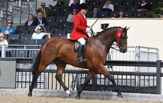 View-Point_RWHS_PN18_18252.jpg