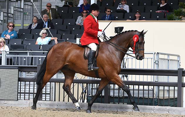View-Point_RWHS_PN18_18252.jpg